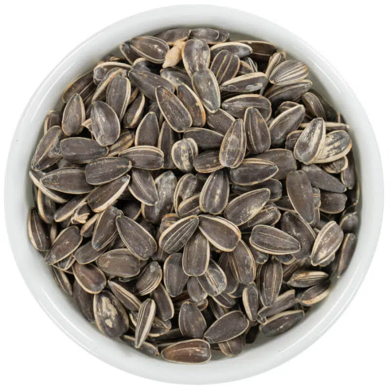 Manufacturer Specializing in Flavorful Sunflower Seeds for a Unique Snacking Experience