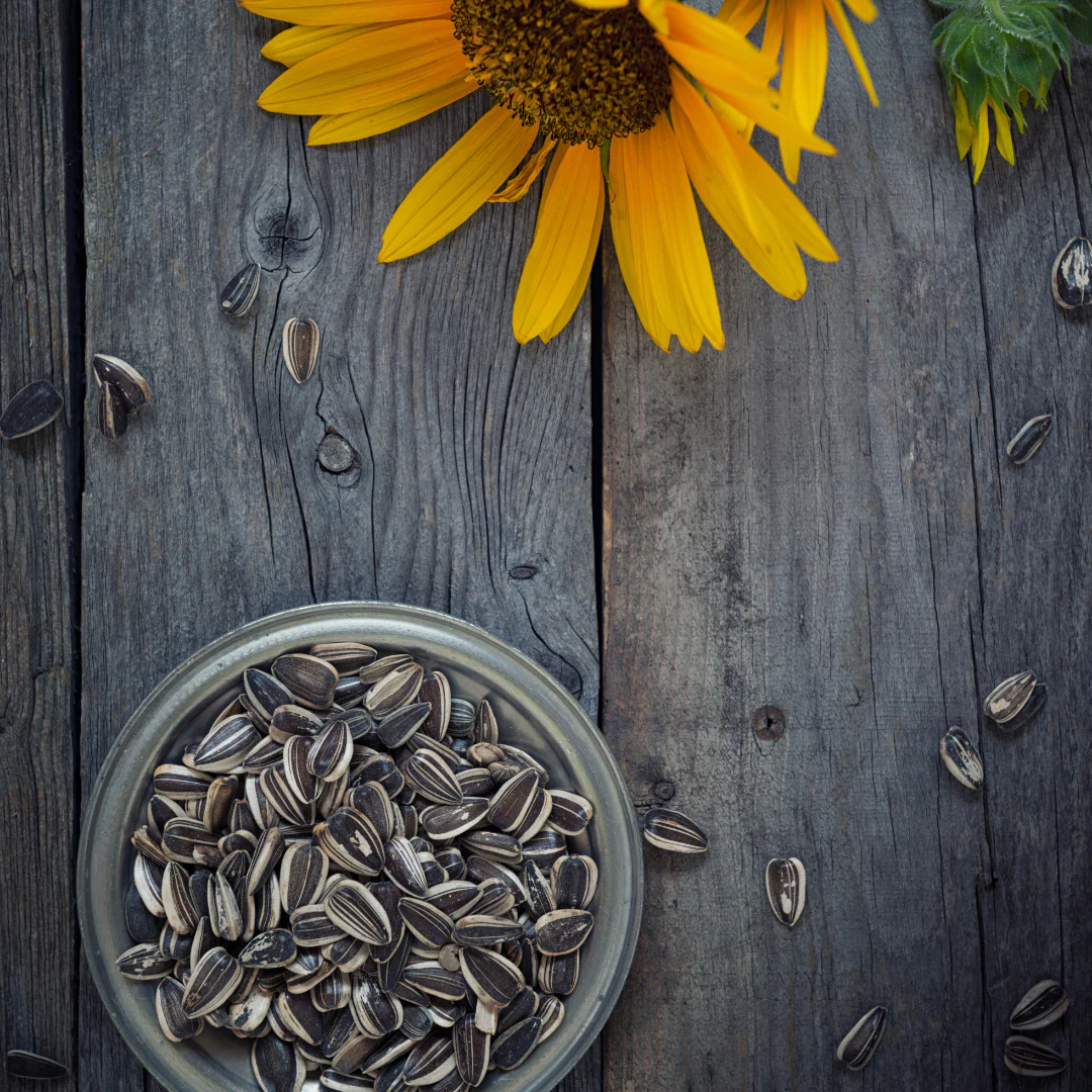 Best Chinese Sunflower Seeds - Premium Quality & Taste