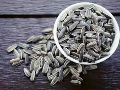 sunflower seeds versus pumpkin seeds factories sunflower seeds versus pumpkin seeds factories