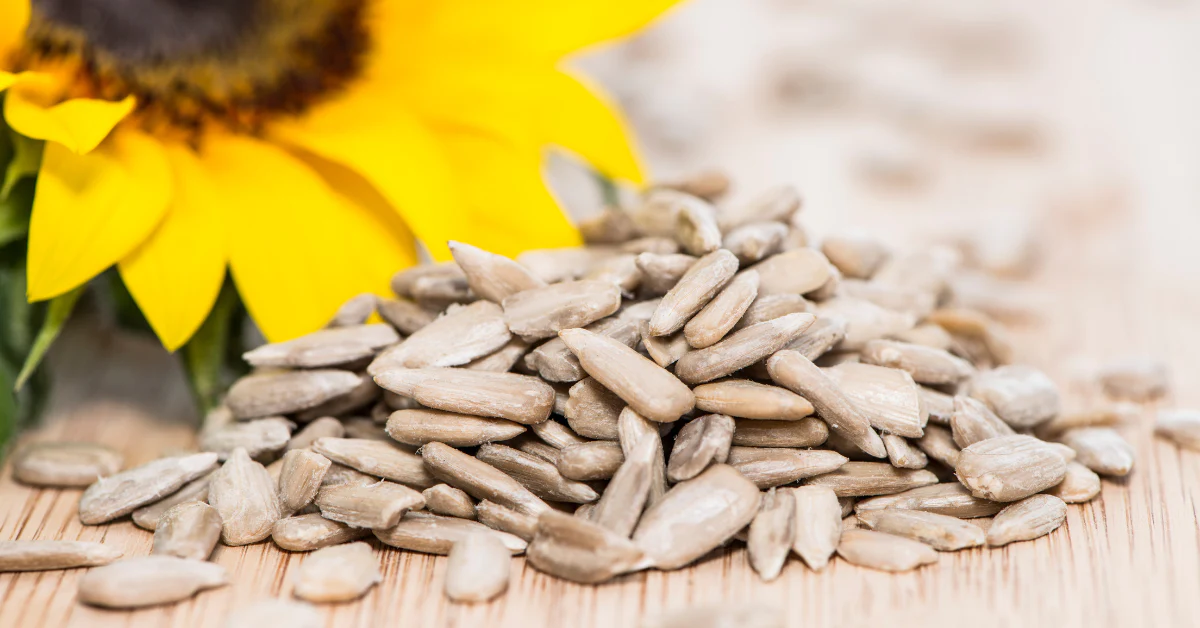 High-Quality Sunflower Seeds Suppliers for Bulk 50 Pound Packages