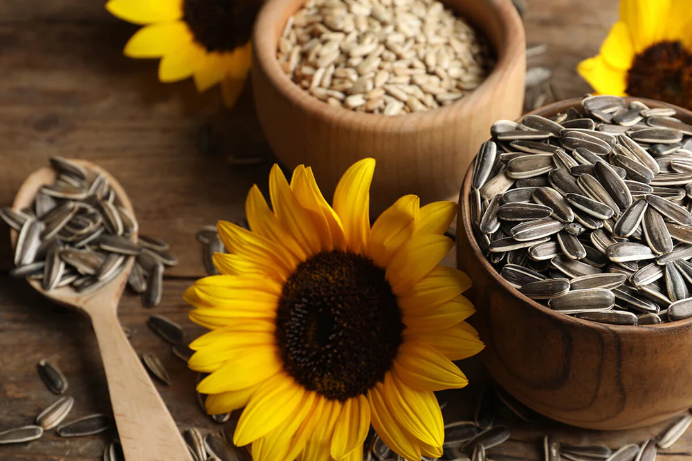 sunflower seed kernels for baking product