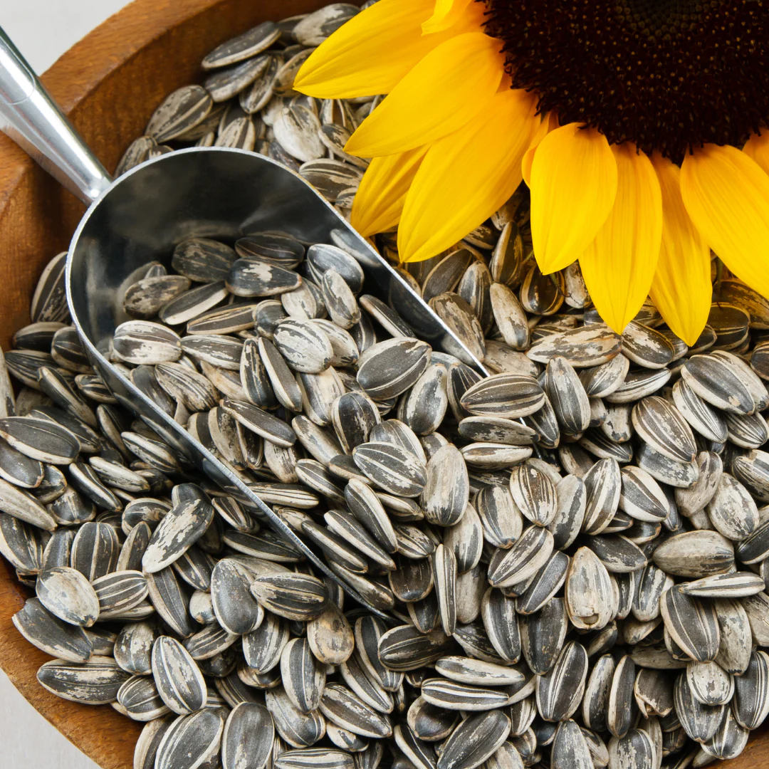 whole foods sunflower seeds manufacturer