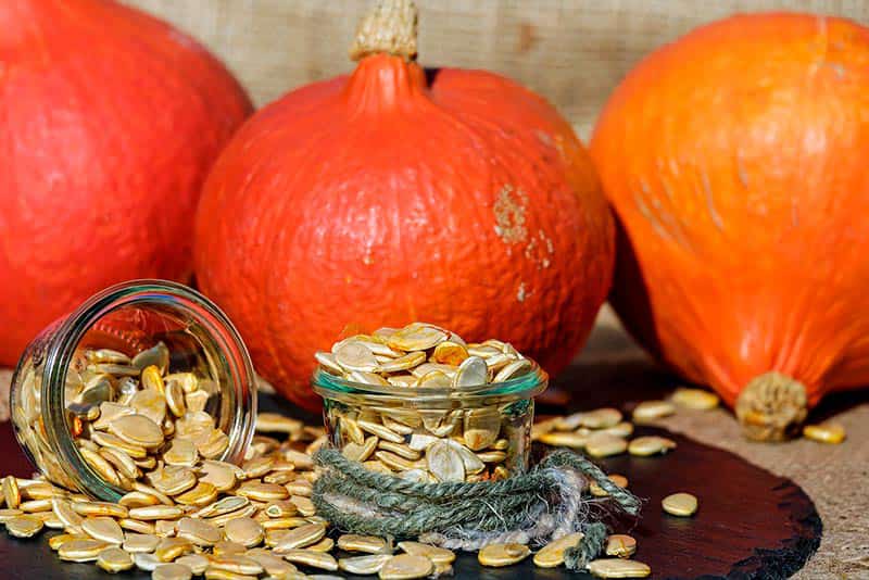 Top Quality Sunflower Seeds Still in the Shell for Maximum Flavor