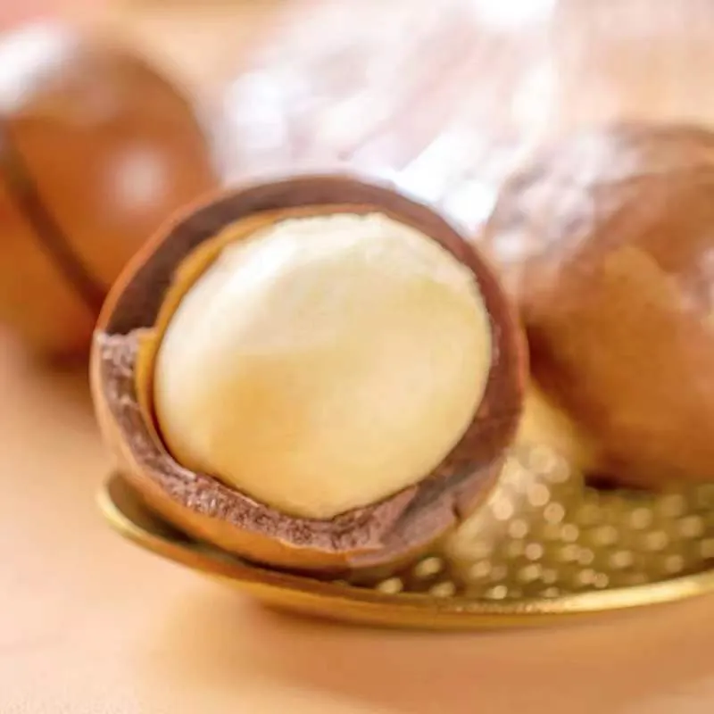 Macadamia Nuts—Fresh, Premium, Keto-Friendly: Why Buy Here?