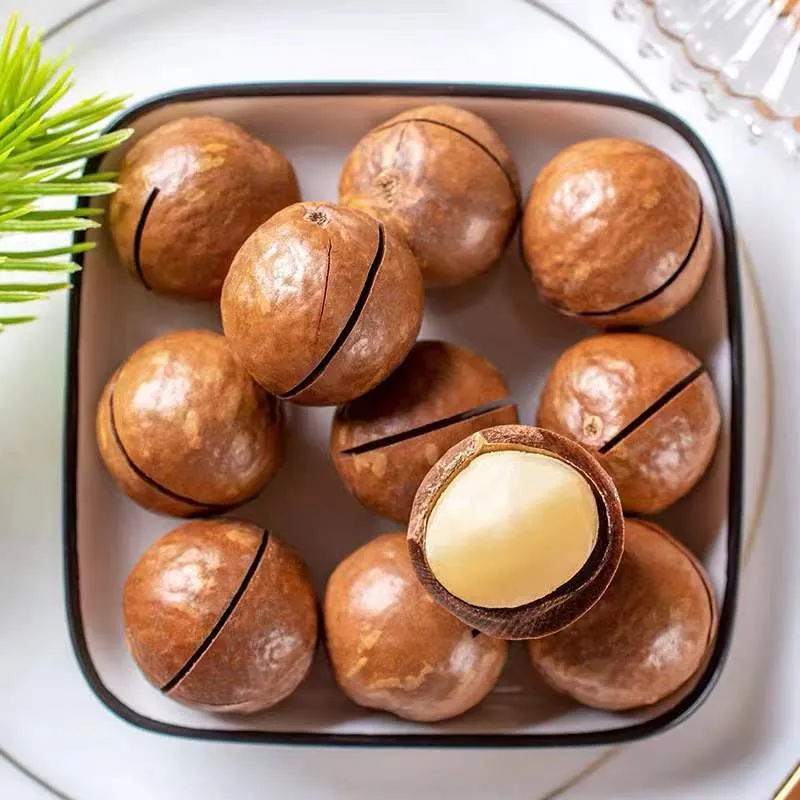 Premium Zonnebloempitten Snacks voor een Gezonde Tussendoortje Keuze Premium Zonnebloempitten Snacks voor een Gezonde Tussendoortje Keuze