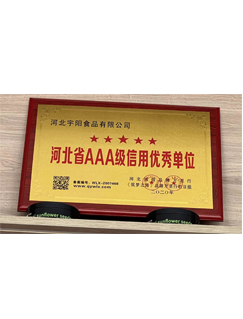 AA-level Credit Outstanding Unit