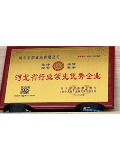 Outstanding Enterprises Leading in The Industry