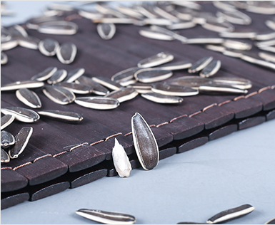 Production of Sunflower Products in Our Advanced Factory