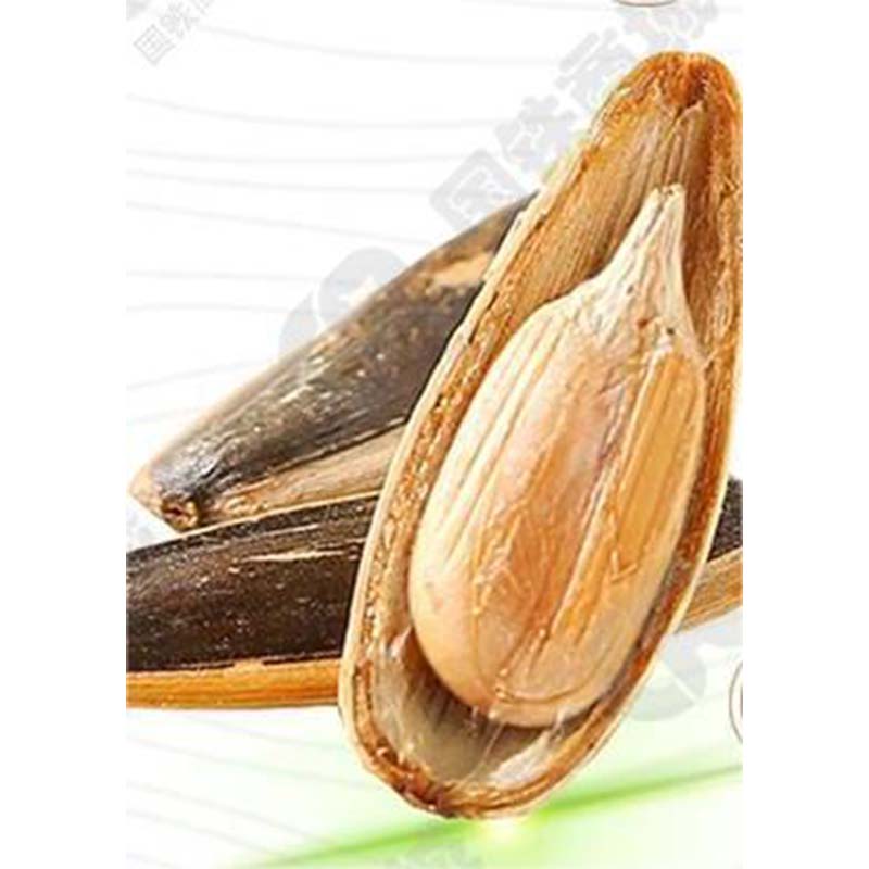 Nutrient-Packed Sunflower Seeds High in Vitamin E for Wholesale Purchase