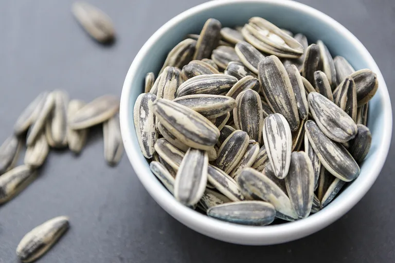 buy melon seeds online