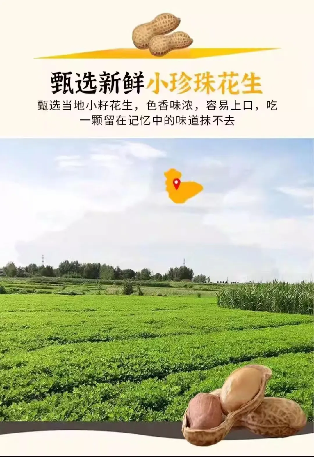 sunflower seeds unsalted