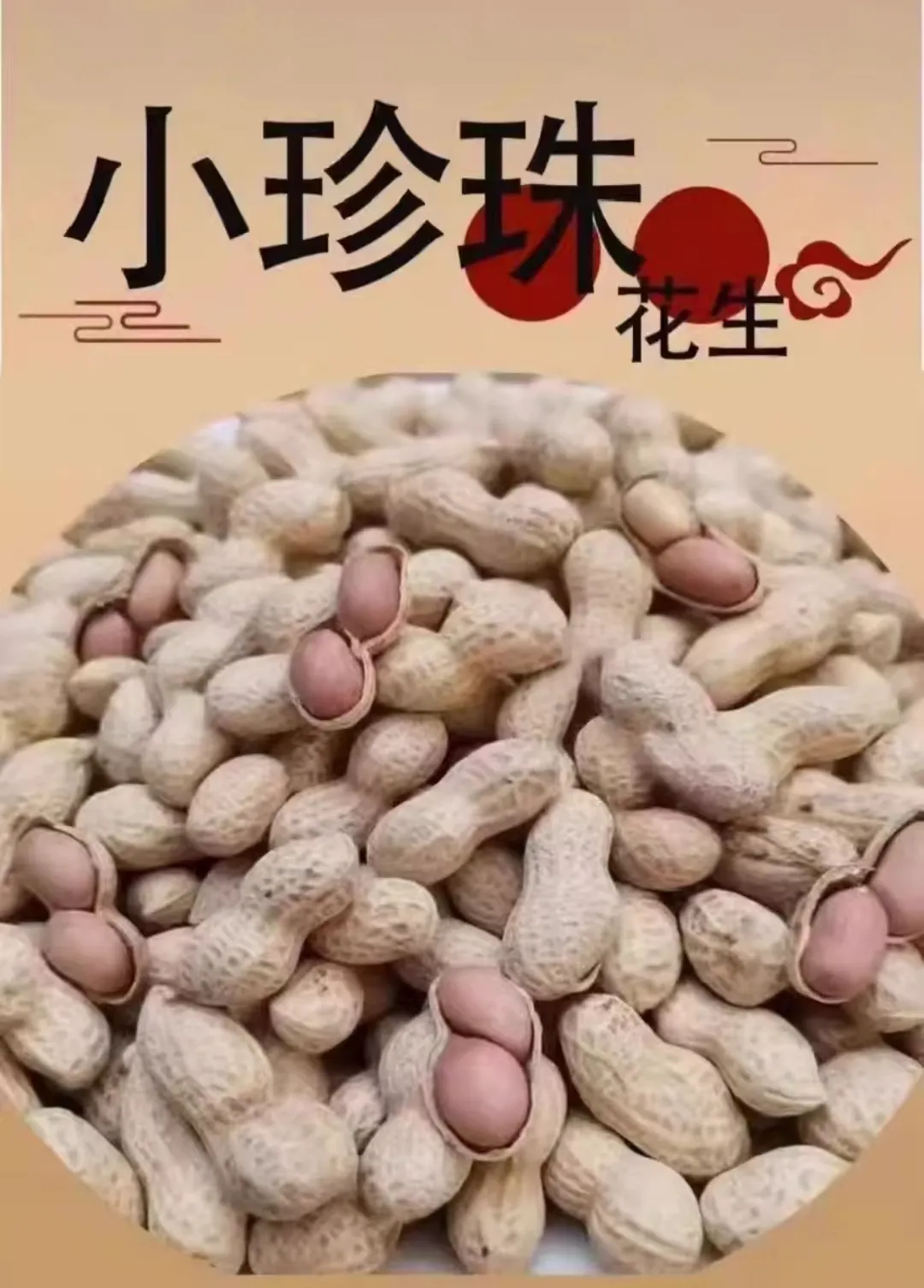 گل‌های آفتابگردان سفید باکیفیت و زیبا برای تزئین باغ و منزل