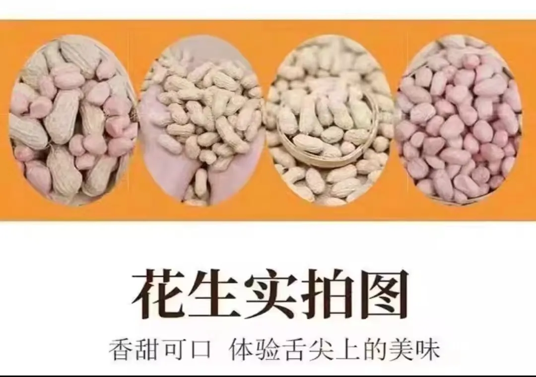 Supplier of Premium Melon Seeds for Sale Online Supplier of Premium Melon Seeds for Sale Online