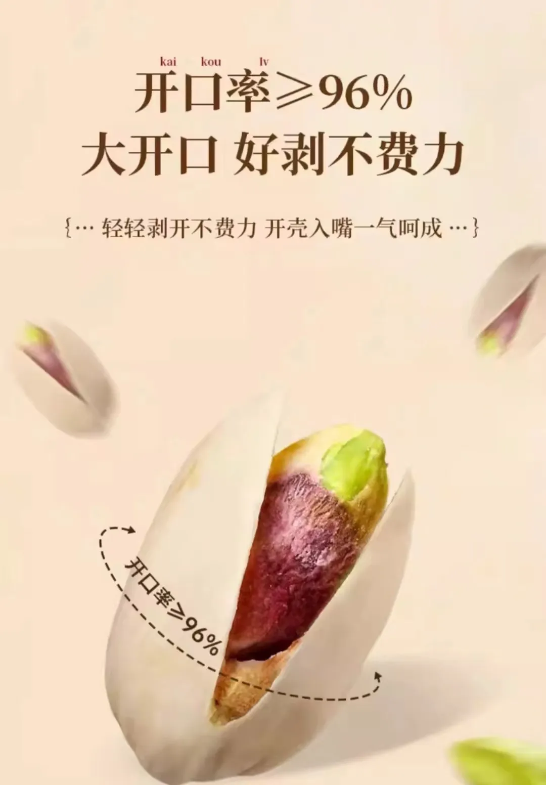 different specifications sunflower seeds factory