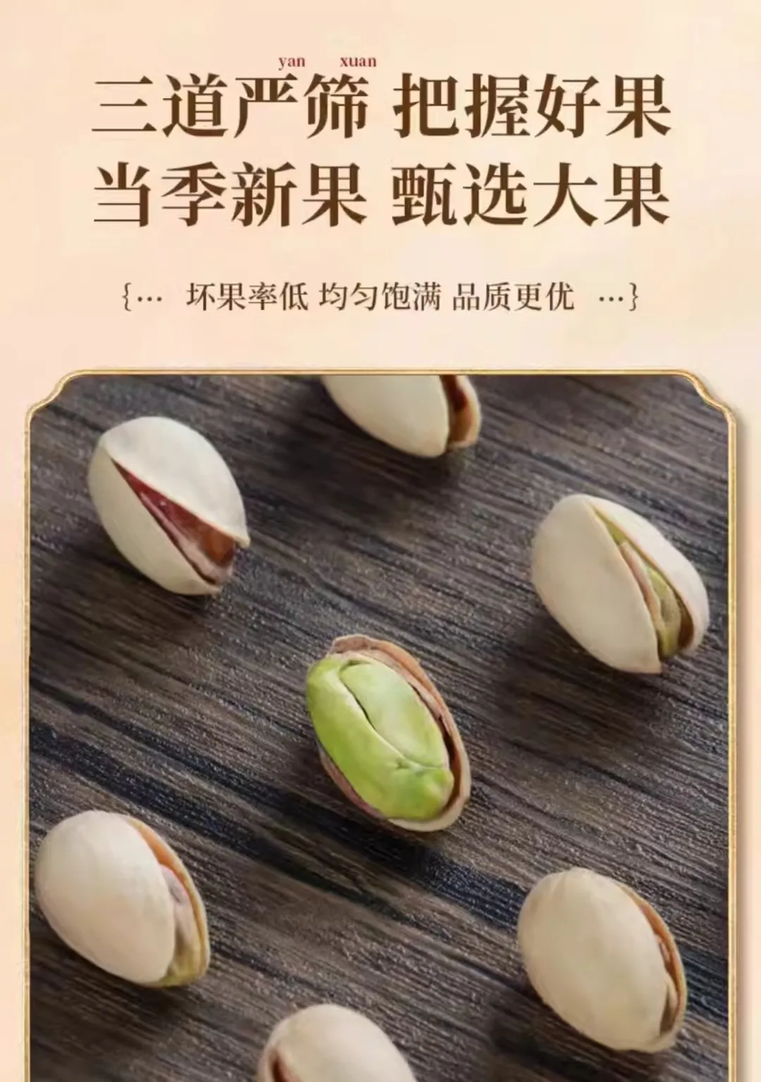 Leading Raw Shelled Sunflower Seeds Suppliers for Quality and Flavor in Snacks