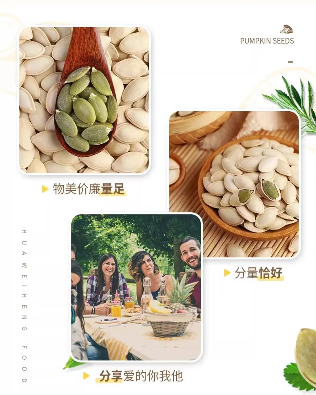 marchi di semi di girasole esportatori