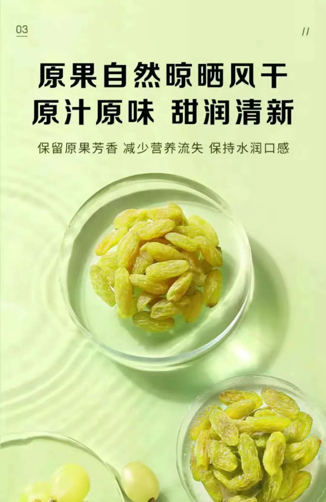 Premium Crunchy Toasted Sunflower Seeds for Healthy Snacking and Flavorful Recipes Premium Crunchy Toasted Sunflower Seeds for Healthy Snacking and Flavorful Recipes