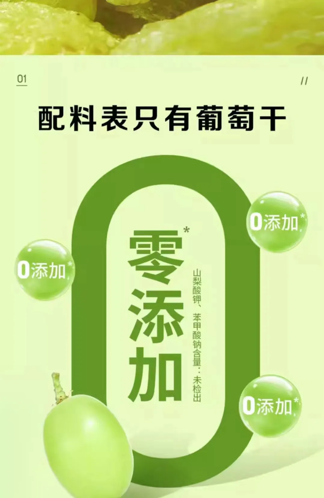 sunflower seeds fresh supplier sunflower seeds fresh supplier