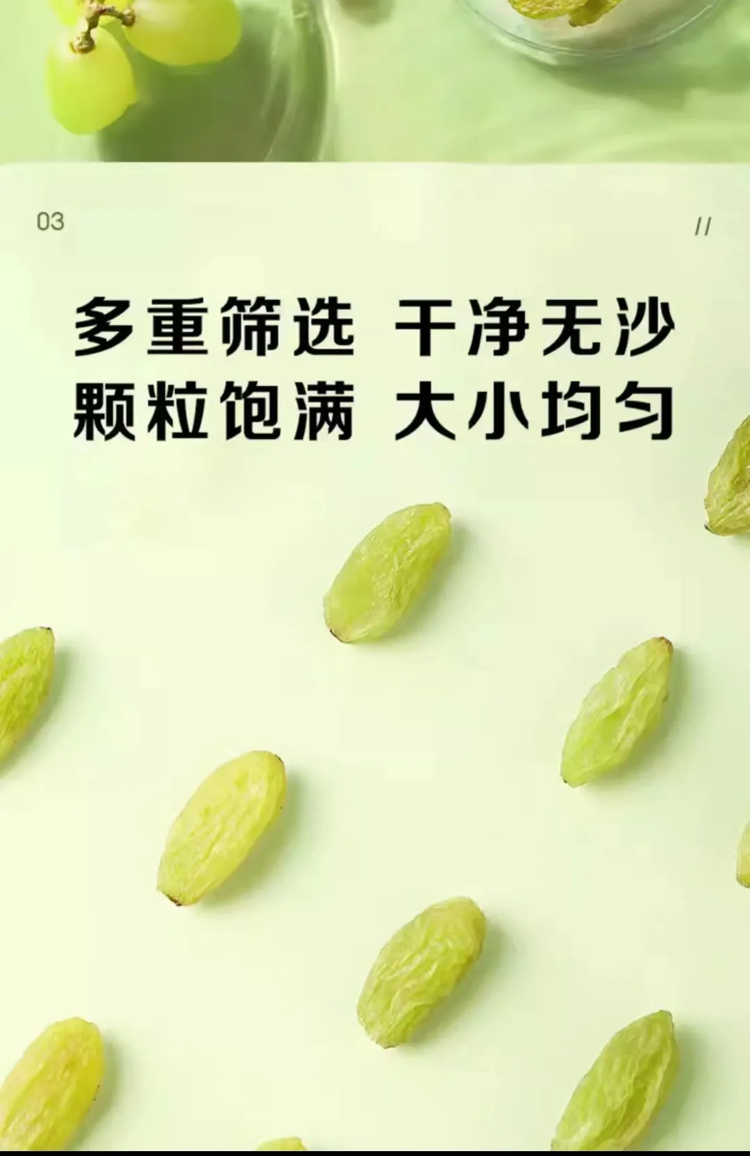 Hulled Sunflower Seeds from China for Healthy Snacking and Culinary Uses