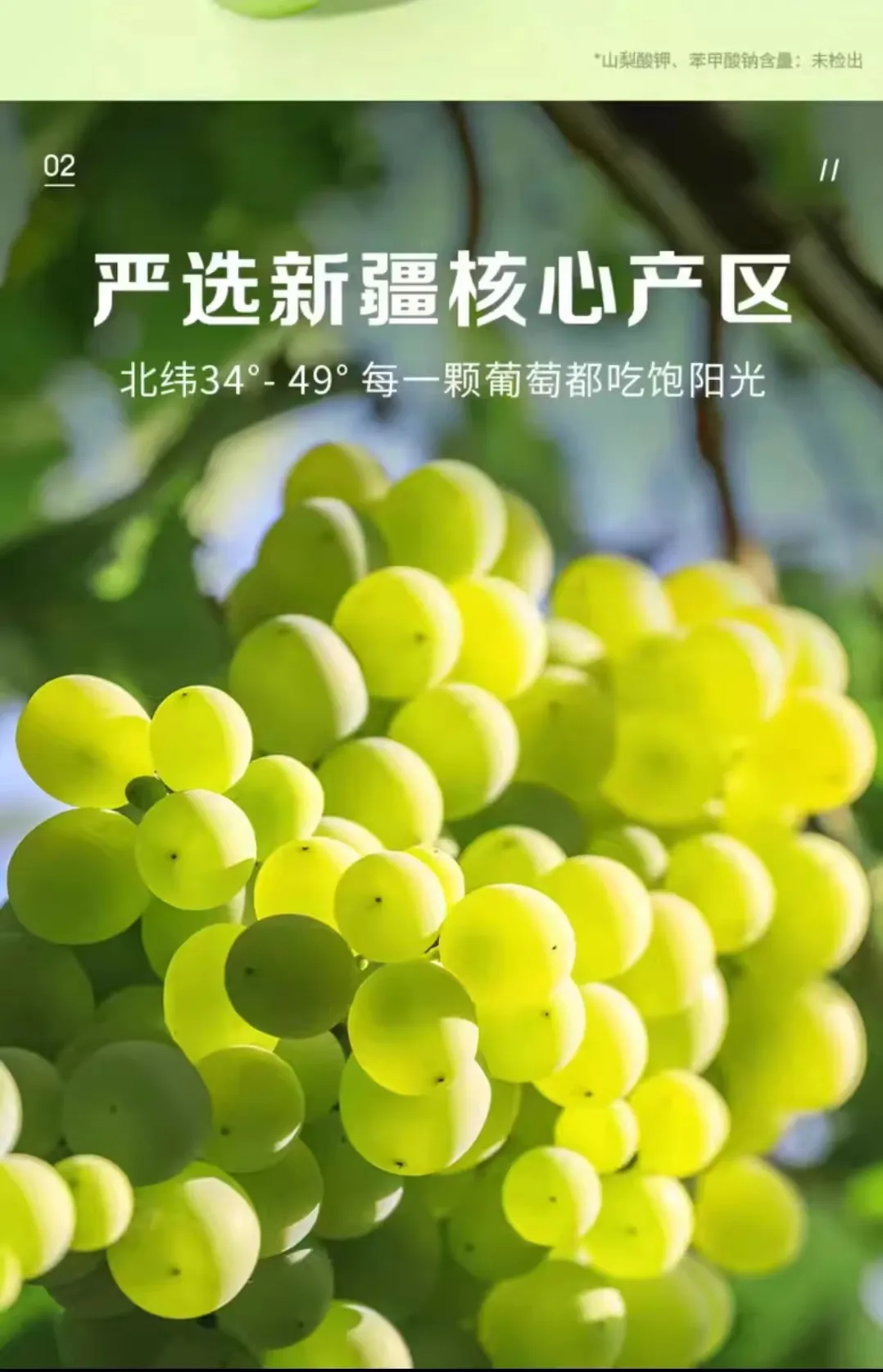 buying sunflower seeds product