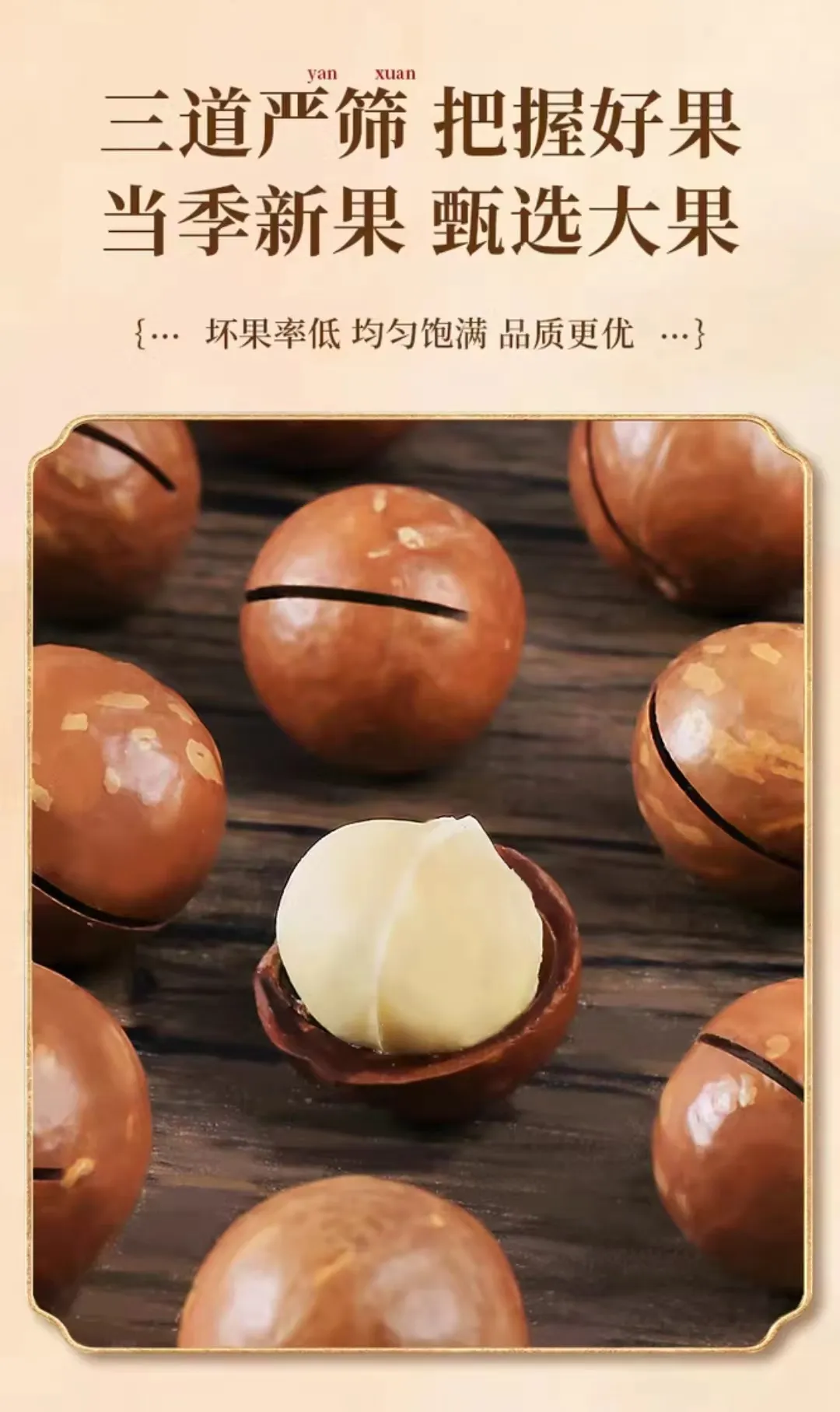 organic watermelon seeds suppliers