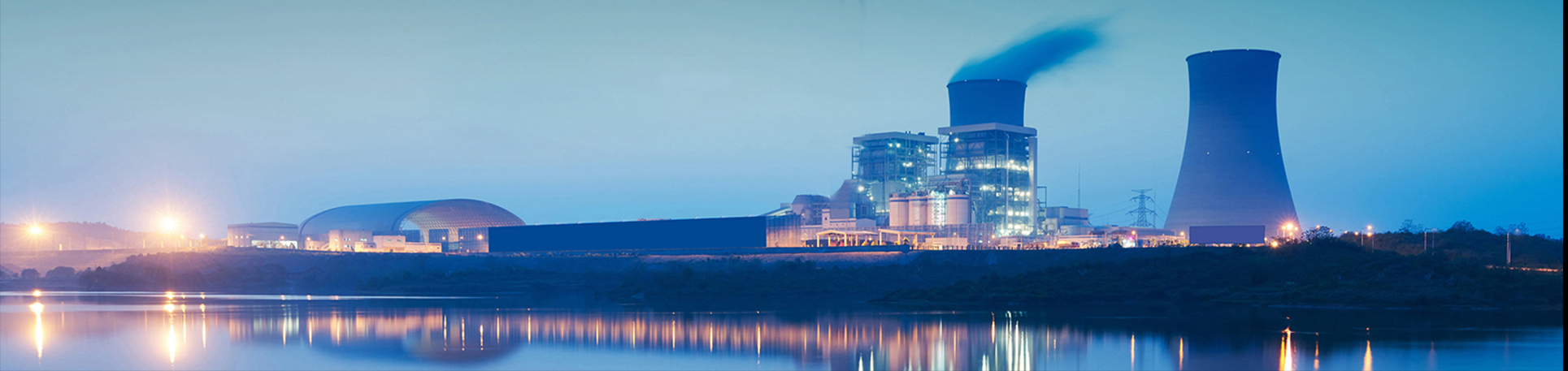 cylindrical needle roller bearing