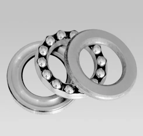 Sealed Thrust Bearings in Food Processing Equipment