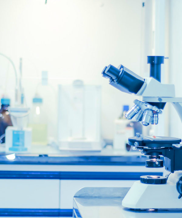 Comprehensive Overview of 627zz Bearing Dimensions and Specifications for Mechanical Applications