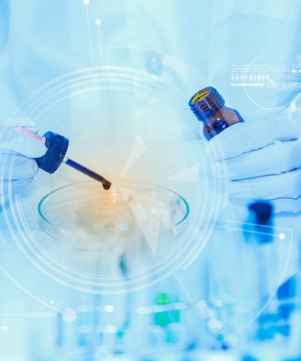 Exploring the Current Market Price for 6311 Bearings and Their Availability