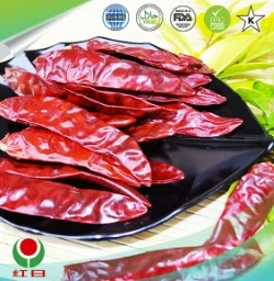 Discover the Richness of Paprika Food – A Flavorful Journey Awaits!