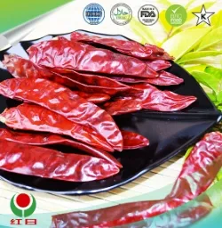 Discover the Richness of Paprika Food – A Flavorful Journey Awaits!