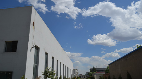 Delicious and Versatile Uses for Sweet Paprika Powder in Your Cooking