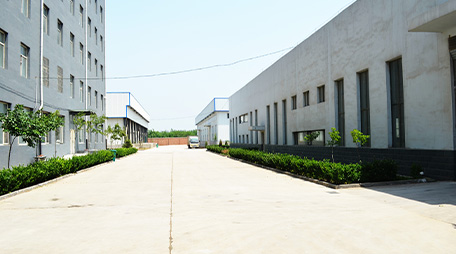 Exploring the Flavorful World of Small Dried Red Peppers from China for Culinary Delights