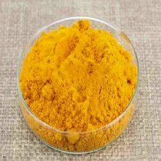Explore the Golden Benefits of Turmeric Powder – A Superfood for Every Kitchen!