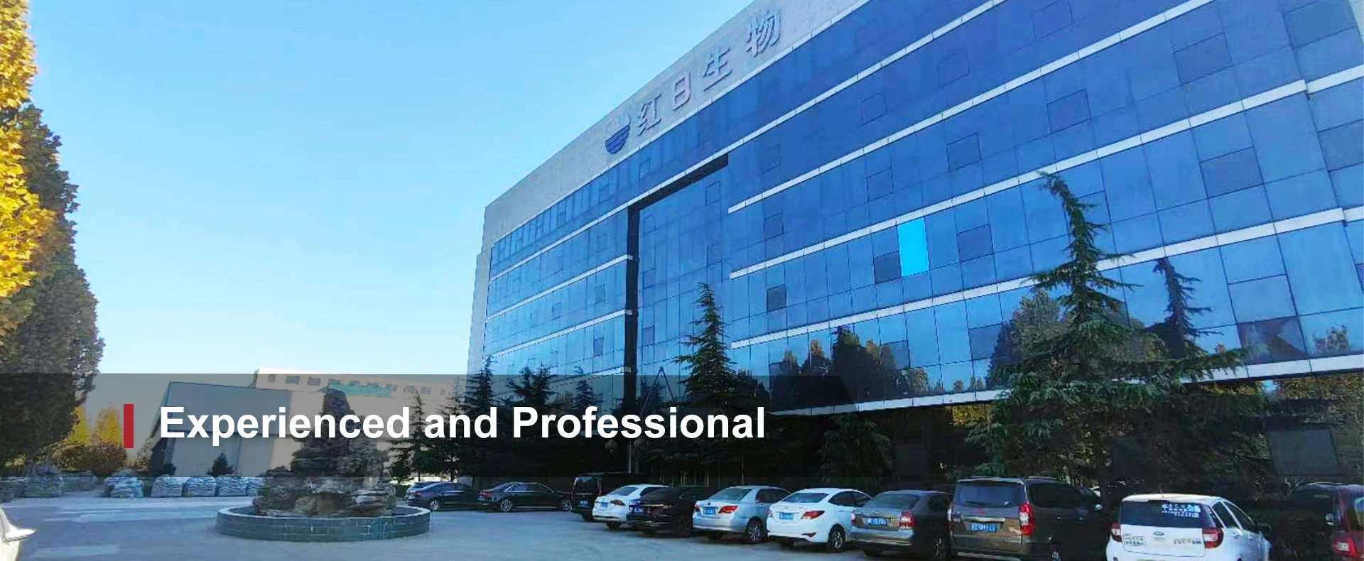 Experienced and Professional