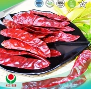 Spice Up Your Life with Paprika & Chili!