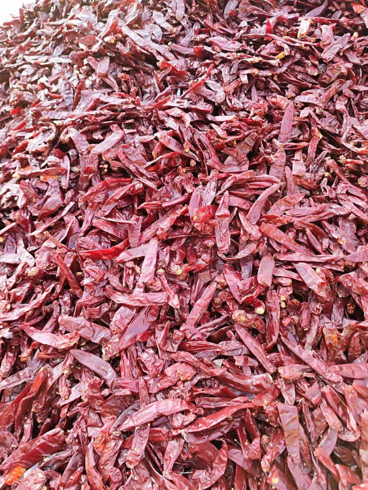 spicy dried red pepper flakes for flavorful dishes and seasoning options