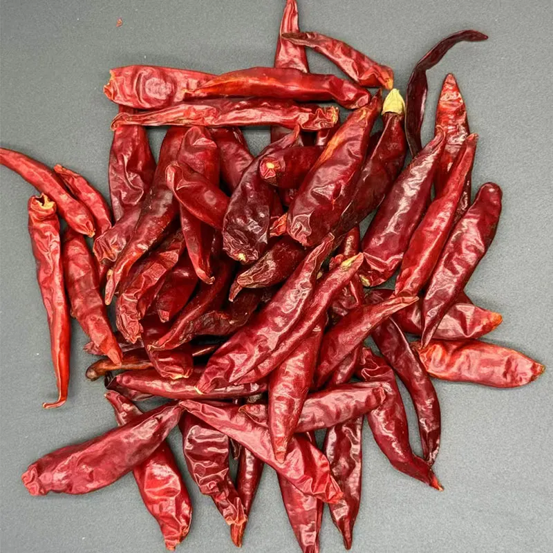 Health Benefits and Uses of Turmeric Powder in Daily Cooking and Remedies