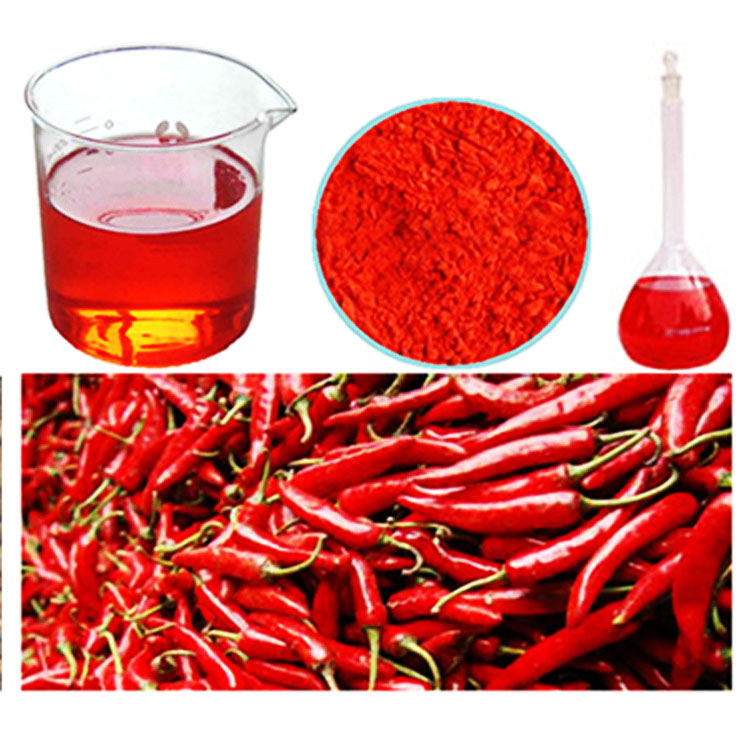 Exploring the Flavorful World of Chinese Chili Powder and Its Culinary Uses