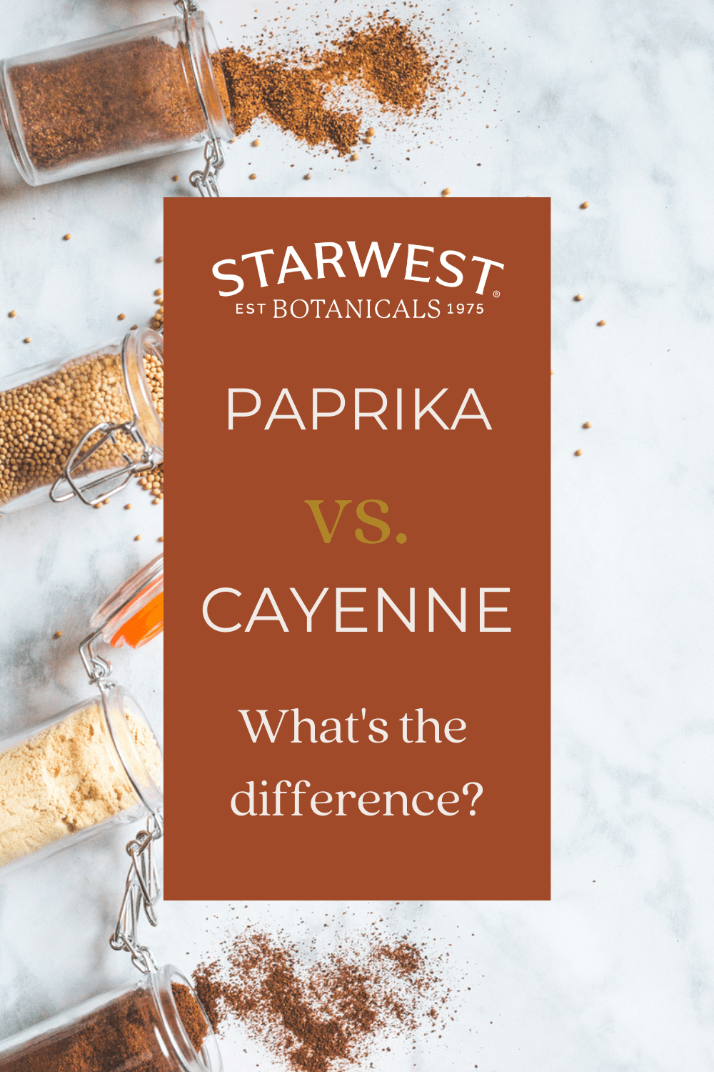 Exploring the Benefits and Uses of Wholesale Fine Ground Red Pepper in Culinary Delights