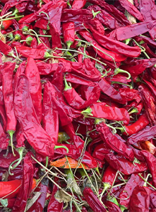 dried chili peppers in chili dried chili peppers in chili