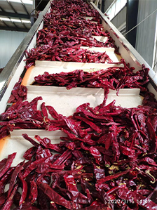 Kurkuma gestandaardiseerd extract