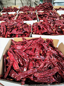 Organic Dried Peppers for Flavorful Cooking and Natural Seasoning Options