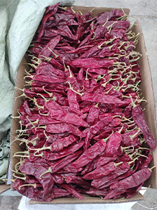 Exploring the Health Benefits of Turmeric Powder in Daily Nutrition and Wellness