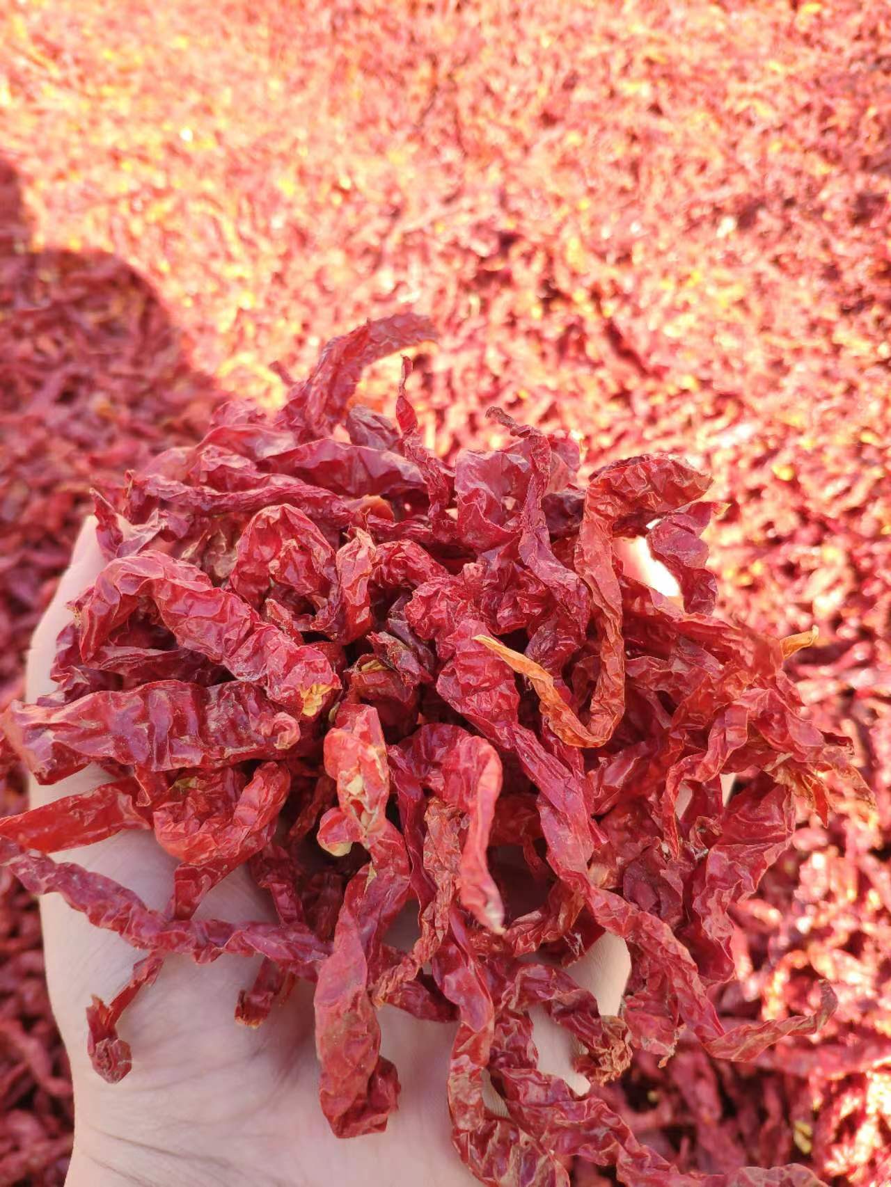 Production and Processing Techniques for High-Quality Powdered Capsicum in Modern Manufacturing Facilities