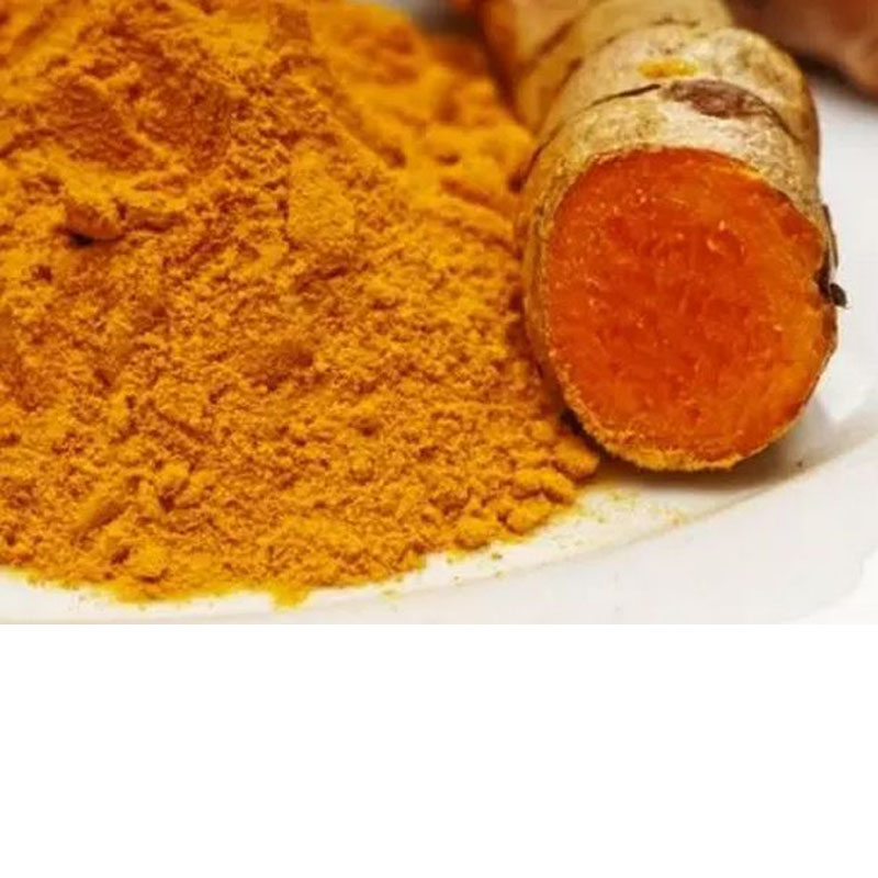 Exploring the Culinary Benefits of Paprika Powder in Everyday Cooking