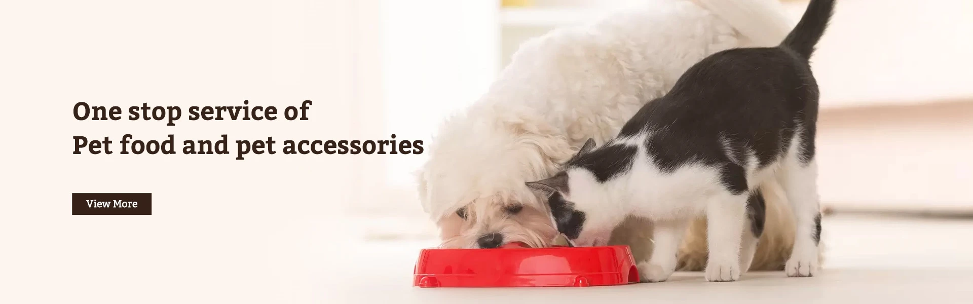 内页banner3 内页banner3