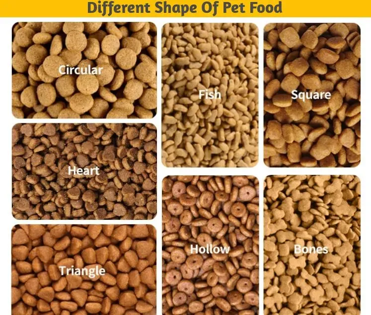 2024 IIPE Conference Showcases Pet Food Industry Innovations and Trends