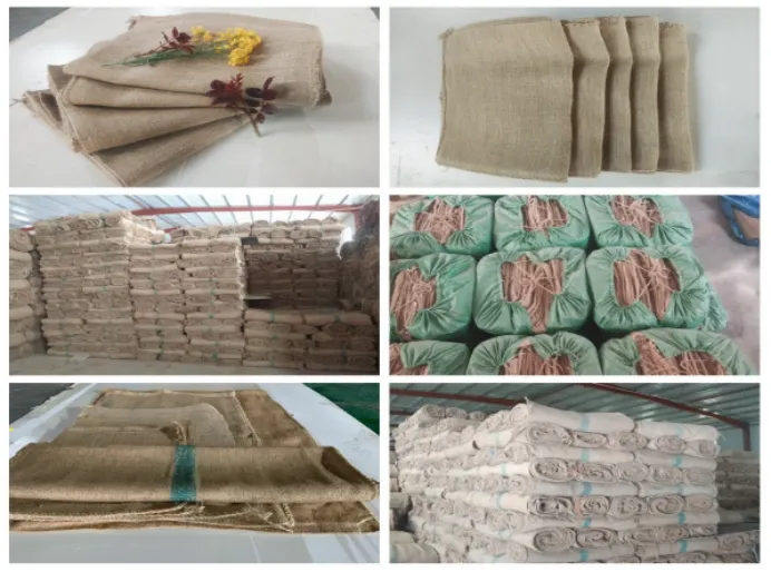 Car door Adhesive Strip