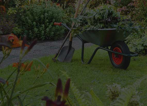 Nutritious High-Calorie Dog Food for Active and Growing Pets